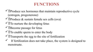 FUNCTIONS
Produce sex hormones that maintain reproductive cycle
(estrogen, progesterone)
Produce & sustain female sex cells (ova)
To nurture the developing fetus
Become passage for fetus
To enable sperm to enter the body
Transports the egg to the site of fertilization
 If fertilization does not take place, the system is designed to
menstruate.
 