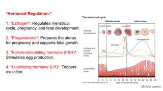Female reproductive system [ Anatomy and physiology ] .pdf.ppt.document ...