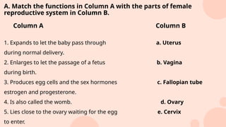Comprehensive Overview of the Female Reproductive System and Its ...