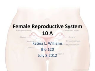 Female Reproductive System
           10 A
       Katina L. Williams
            Bio 120
          July 8,2012
 