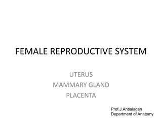 FEMALE REPRODUCTIVE SYSTEM
UTERUS
MAMMARY GLAND
PLACENTA
Prof.J.Anbalagan
Department of Anatomy
 