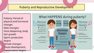 Developing Female Female Reproductive System Biology Presentation in a Pink Bold Style.pptx