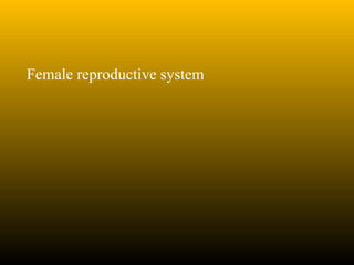 Female reproductive system
 