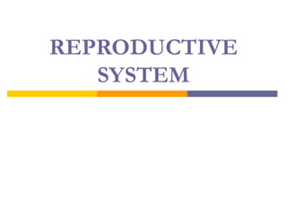 REPRODUCTIVE
SYSTEM
 