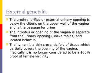 External genetalia
 The urethral orifice or external urinary opening is
below the clitoris on the upper wall of the vagina
and is the passage for urine
 The introitus or opening of the vagina is separate
from the urinary opening (unlike males) and
located below it.
 The hymen is a thin cresentic fold of tissue which
partially covers the opening of the vagina.
medically it is no longer considered to be a 100%
proof of female virginity.
 