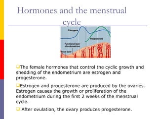 The female hormones that control the cyclic growth and
shedding of the endometrium are estrogen and
progesterone.
Estrogen and progesterone are produced by the ovaries.
Estrogen causes the growth or proliferation of the
endometrium during the first 2 weeks of the menstrual
cycle.
 After ovulation, the ovary produces progesterone.
Hormones and the menstrual
cycle
 