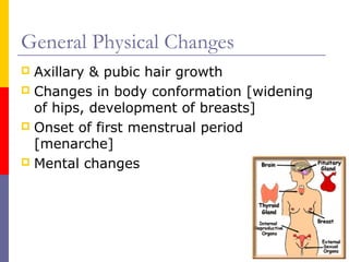 General Physical Changes
 Axillary & pubic hair growth
 Changes in body conformation [widening
of hips, development of breasts]
 Onset of first menstrual period
[menarche]
 Mental changes
 