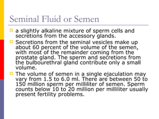 Seminal Fluid or Semen
 a slightly alkaline mixture of sperm cells and
secretions from the accessory glands.
 Secretions from the seminal vesicles make up
about 60 percent of the volume of the semen,
with most of the remainder coming from the
prostate gland. The sperm and secretions from
the bulbourethral gland contribute only a small
volume.
 The volume of semen in a single ejaculation may
vary from 1.5 to 6.0 ml. There are between 50 to
150 million sperm per milliliter of semen. Sperm
counts below 10 to 20 million per milliliter usually
present fertility problems.
 