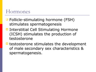 Hormones
 Follicle-stimulating hormone (FSH)
stimulates spermatogenesis
 Interstitial Cell Stimulating Hormone
(ICSH) stimulates the production of
testosterone
 testosterone stimulates the development
of male secondary sex characteristics &
spermatogenesis.
 