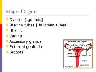 Major Organs
 Ovaries [ gonads]
 Uterine tubes [ fallopian tubes]
 Uterus
 Vagina
 Accessory glands
 External genitalia
 Breasts
 