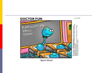 Female reproductive system jonathan