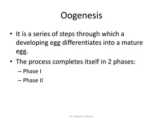 Oogenesis
• It is a series of steps through which a
developing egg differentiates into a mature
egg.
• The process complet...