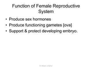 Function of Female Reproductive
System
• Produce sex hormones
• Produce functioning gametes [ova]
• Support & protect deve...