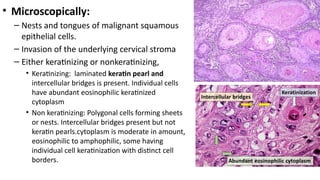 Female reproductive system nursing.pptxx | PPTX