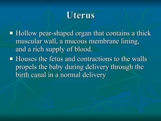 Uterus Hollow pear-shaped organ that contains a thick muscular wall, a mucous membrane lining, and a rich supply of blood. Houses the fetus and contractions to the walls propels the baby during delivery through the birth canal in a normal delivery 