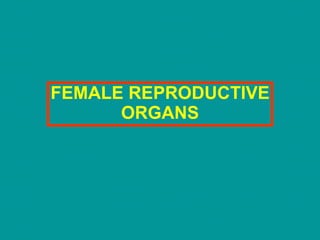 FEMALE REPRODUCTIVE ORGANS 