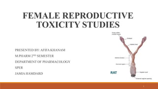 FEMALE REPRODUCTIVE
TOXICITY STUDIES
PRESENTED BY: AFIFA KHANAM
M.PHARM 2ND SEMESTER
DEPARTMENT OF PHARMACOLOGY
SPER
JAMIA HAMDARD
1
 