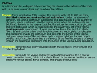 Female repr sy | PPT