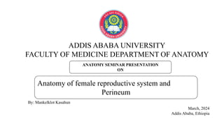 ADDIS ABABA UNIVERSITY
FACULTY OF MEDICINE DEPARTMENT OF ANATOMY
March, 2024
Addis Ababa, Ethiopia
By: Mankelklot Kasahun
Anatomy of female reproductive system and
Perineum
ANATOMY SEMINAR PRESENTATION
ON
 