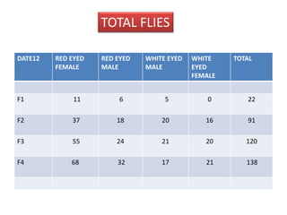 DATE12 RED EYED 
FEMALE 
TOTAL FLIES 
RED EYED 
MALE 
WHITE EYED 
MALE 
WHITE 
EYED 
FEMALE 
TOTAL 
F1 11 6 5 0 22 
F2 37 18 20 16 91 
F3 55 24 21 20 120 
F4 68 32 17 21 138 
 