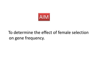AIM 
To determine the effect of female selection 
on gene frequency. 
 