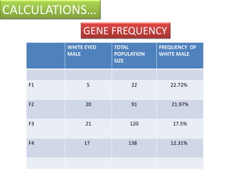CALCULATIONS… 
GENE FREQUENCY 
WHITE EYED 
MALE 
TOTAL 
POPULATION 
SIZE 
FREQUENCY OF 
WHITE MALE 
F1 5 22 22.72% 
F2 20 91 21.97% 
F3 21 120 17.5% 
F4 17 138 12.31% 
 