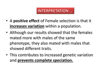 INTERPRETATION … 
• A positive effect of Female selection is that it 
increases variation within a population. 
• Although our results showed that the females 
mated more with males of the same 
phenotype, they also mated with males that 
showed different traits. 
• This contributes to increased genetic variation 
and prevents complete speciation. 
 