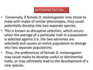 INTERPRETATION … 
• Conversely, if female D. melanogaster only chose to 
mate with males of similar phenotypes, they could 
potentially develop into two separate species. 
• This is known as disruptive selection, which occurs 
when the average of a particular trait in a population 
is selected against (i.e. the two extremes are 
selected) and causes an entire population to diverge 
into two separate populations. 
• Thus, the preferences of female D. melanogaster 
may cause males to develop useful or detrimental 
traits, or may ultimately lead to the development of a 
new species. 
 