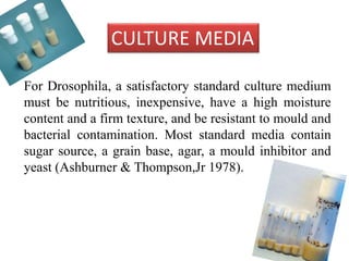 CULTURE MEDIA 
For Drosophila, a satisfactory standard culture medium 
must be nutritious, inexpensive, have a high moisture 
content and a firm texture, and be resistant to mould and 
bacterial contamination. Most standard media contain 
sugar source, a grain base, agar, a mould inhibitor and 
yeast (Ashburner & Thompson,Jr 1978). 
 