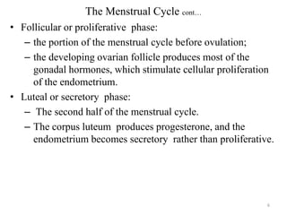 Female sex hormones | PPTX
