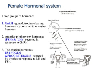 female sex hormones Dr. Gulnaz.pdf shahzaddanish | PDF