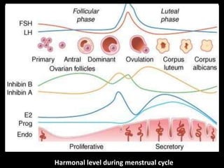 FEMALE SEX HORMONES PPT.pptx