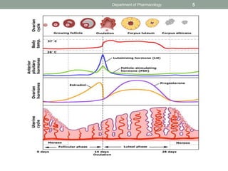 Female sex Hormones | PPTX