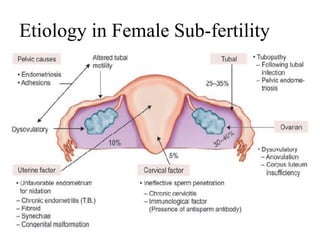Female sub-fertility | PDF