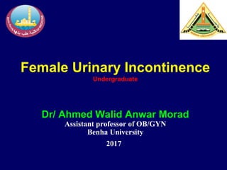 Female Urinary Incontinence
Undergraduate
Dr/ Ahmed Walid Anwar Morad
Assistant professor of OB/GYN
Benha University
2017
 
