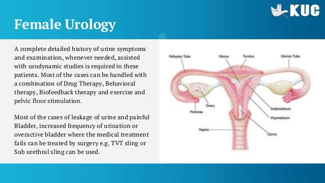 Female Urological Problems