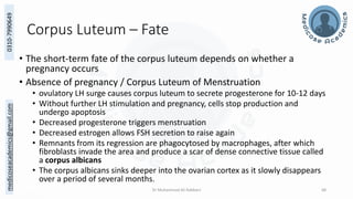 Femal Reproductive System - Ovary - Uterus - Dr Muhammad Ali Rabbani ...