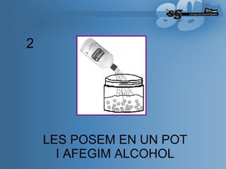 LES POSEM EN UN POT  I AFEGIM ALCOHOL   2 