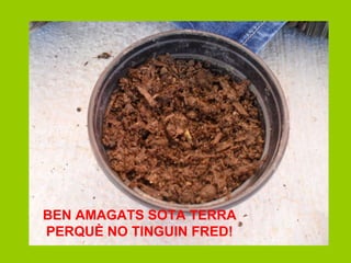 BEN AMAGATS SOTA TERRA PERQUÈ NO TINGUIN FRED! 