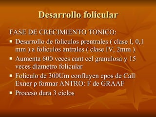 Desarrollo folicular <ul><li>FASE DE CRECIMIENTO TONICO: </li></ul><ul><li>Desarrollo de foliculos prentrales ( clase I, 0...