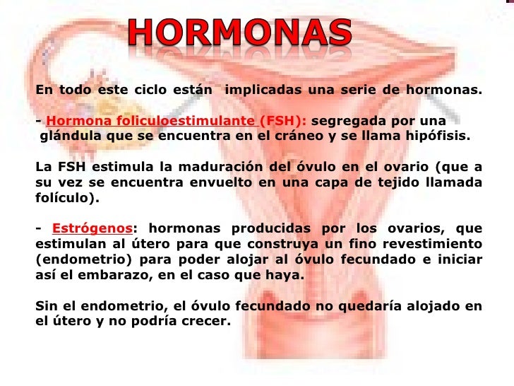 Sistema Reproductor Femenino