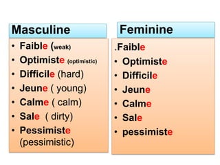 Feminine of French Adjectives | PPTX