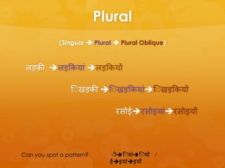 Feminine nouns hindi pedagogy | PPTX