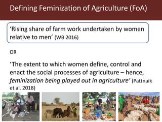 Exploring feminization of agriculture through gender dynamics across scales