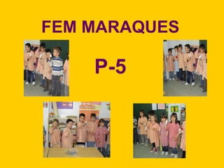 FEM MARAQUES P-5 