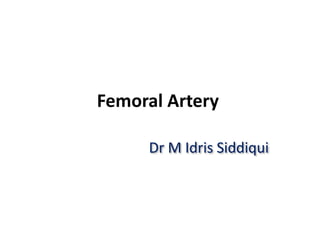 Femoral Artery
Dr M Idris Siddiqui
 