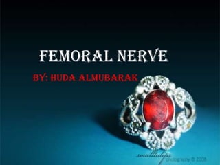 Femoral Nerve  By: Huda Almubarak 