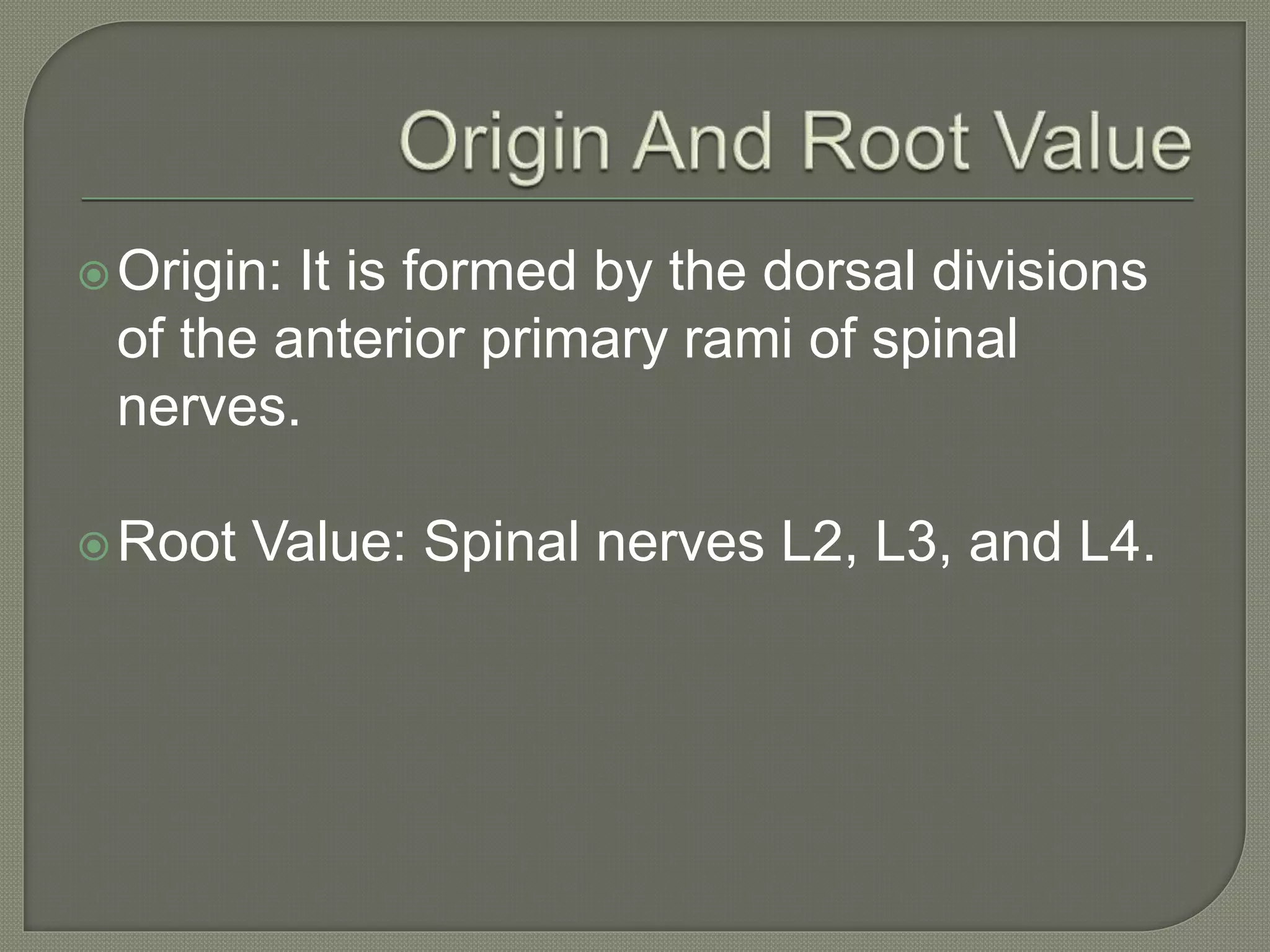 Anatomy of Femoral nerve | PPT