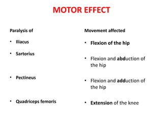 MOTOR EFFECT
Paralysis of
• Iliacus
• Sartorius
• Pectineus
• Quadriceps femoris
Movement affected
• Flexion of the hip
• Flexion and abduction of
the hip
• Flexion and adduction of
the hip
• Extension of the knee
 