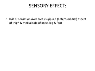 SENSORY EFFECT:
• loss of sensation over areas supplied (antero-medial) aspect
of thigh & medial side of knee, leg & foot
 